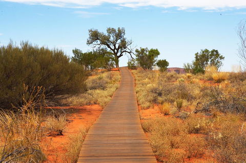 Discovery Resorts - Kings Canyon - Accommodation Yamba 27