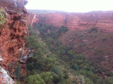 Discovery Resorts - Kings Canyon - Accommodation Yamba 34