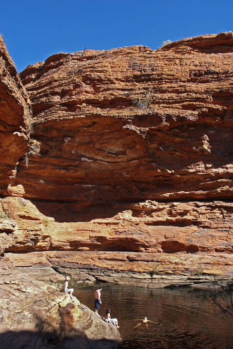 Discovery Resorts - Kings Canyon - Accommodation Yamba 44