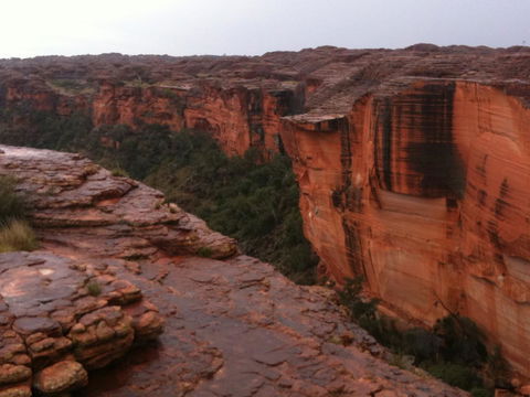 Discovery Resorts - Kings Canyon - Accommodation Yamba 35