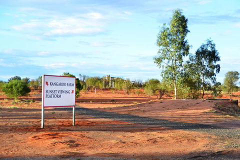 Erldunda Desert Oaks Resort - Accommodation Yamba 28