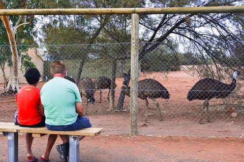 Erldunda Desert Oaks Resort - Accommodation Yamba 21