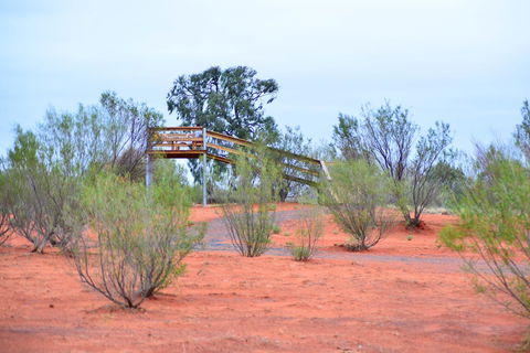 Erldunda Desert Oaks Resort - Accommodation Yamba 42