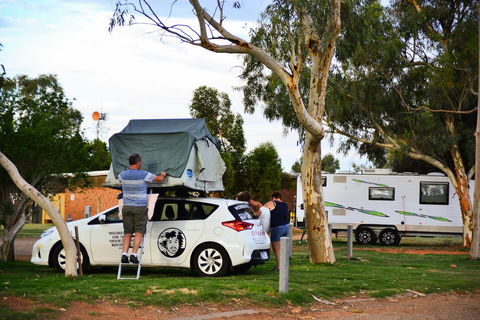 Erldunda Desert Oaks Resort - Accommodation Yamba 19