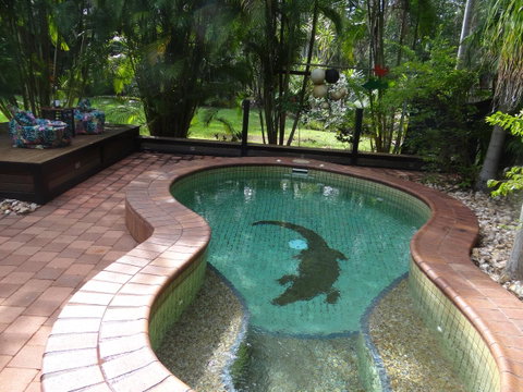 DARWIN'S SHADY ACRES RETREAT - Accommodation Yamba 13