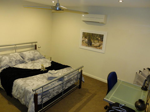 Rock Wallaby - Accommodation Yamba 9