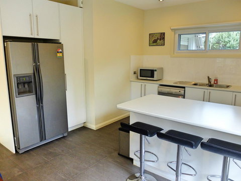 Rock Wallaby - Accommodation Yamba 1