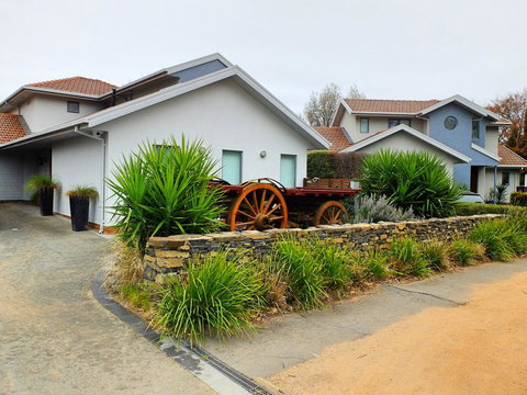 Rock Wallaby - Accommodation Yamba 5