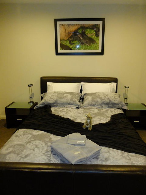 Rock Wallaby - Accommodation Yamba 18