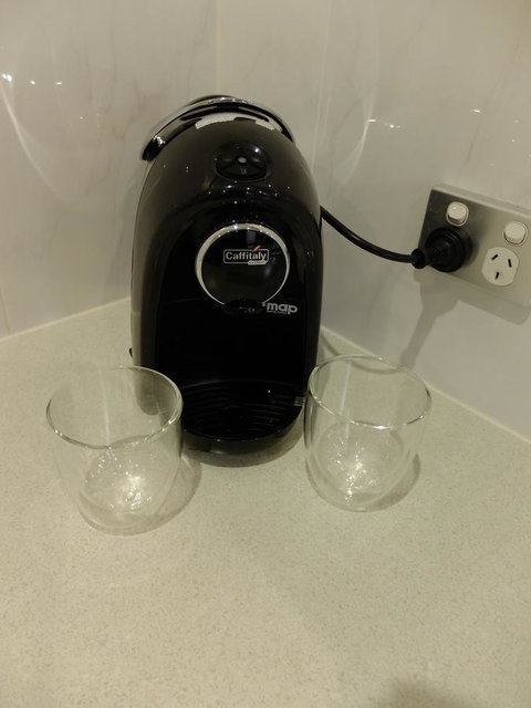 Rock Wallaby - Accommodation Yamba 11