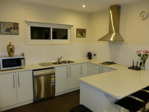 Rock Wallaby - Accommodation Yamba 12