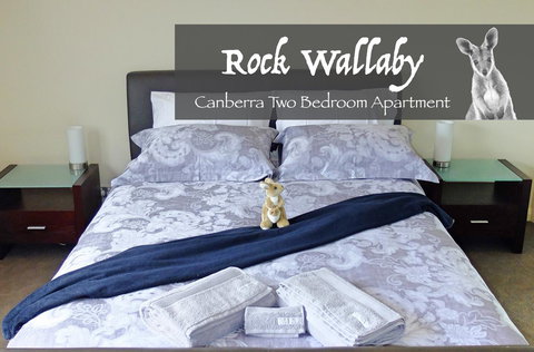 Rock Wallaby - Accommodation Yamba 4