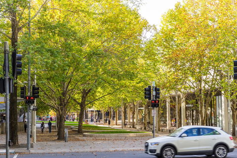 Highgate Executive Apartment City Walk Canberra - Accommodation Yamba 37