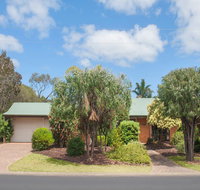 Bottlebrush - Accommodation Yamba