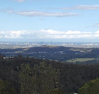 Bottletree Gardens - Mini Manson Blue - Accommodation Yamba