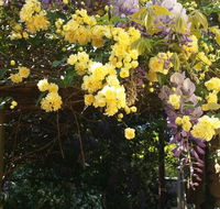 Bowral Road Bed and Breakfast - Accommodation Yamba