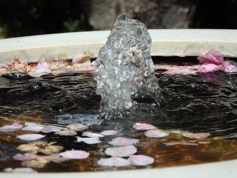 Bowral Road Bed And Breakfast - Accommodation Yamba 2