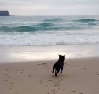 Breakers at Mudjimba Beach - Accommodation Yamba