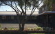 Bryants Motel - thumb 0