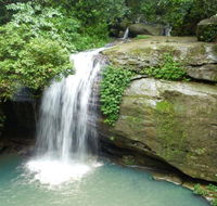 Buderim Forest Hideaway - Accommodation Yamba