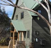 Buffalo - Accommodation Yamba