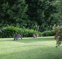 Bundanoon 2578 - Accommodation Yamba