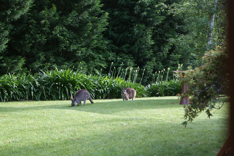 Bundanoon @2578 - Accommodation Yamba 0