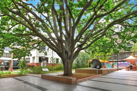 Canberra Luxury Apartment 8 - Accommodation Yamba 1