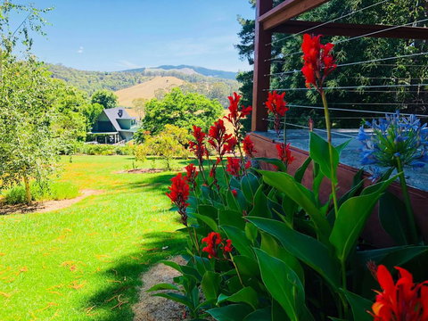 Carawah Ridge - Accommodation Yamba 2