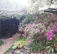 Charming country house close to Grafton - Accommodation Yamba