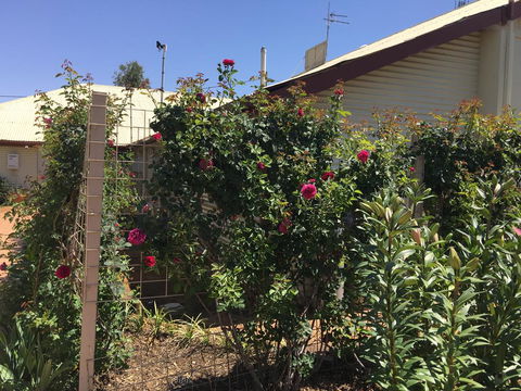 Club Boutique Hotel Cunnamulla - Accommodation Yamba 2