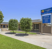 Comfort Inn May Park - Accommodation Yamba