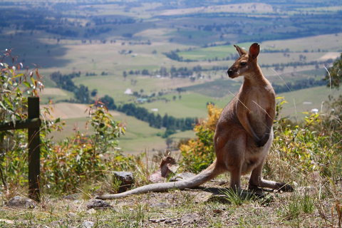 Corroboree Spa Cabin- Eaglereach - Accommodation Yamba 1