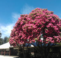 Crossways Country Inn - Accommodation Yamba