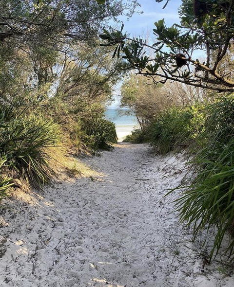 Cute And Costal - Accommodation Yamba 3