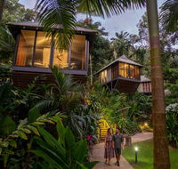 Daintree Ecolodge - Accommodation Yamba