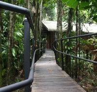 Daintree Wilderness Lodge - Accommodation Yamba