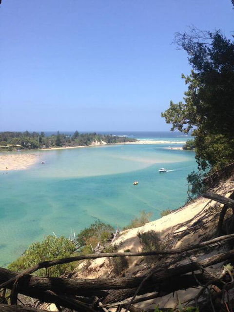 Driftwood - Accommodation Yamba 3