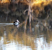 Euston Club Motel - Accommodation Yamba