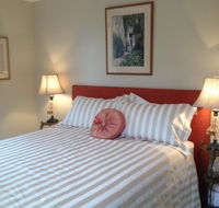 Every Man and His Dog Vineyard - Accommodation Yamba