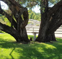 Farm Stay Studio - Accommodation Yamba