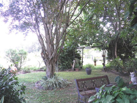 Follywood Guesthouse B&B - Accommodation Yamba 1