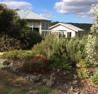Forrest Willy Wagtail Studio - Accommodation Yamba