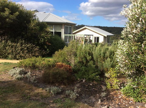 Forrest Willy Wagtail Studio - Accommodation Yamba 0