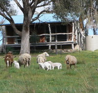 Gaddleen Grove Cottages - Accommodation Yamba
