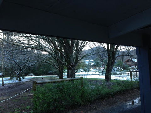 Goldberryaccommodation - Accommodation Yamba 3