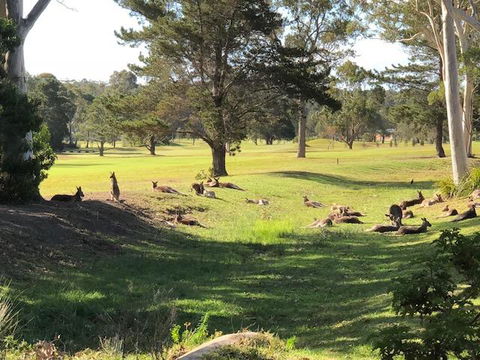 Golf View Motel - Accommodation Yamba 1