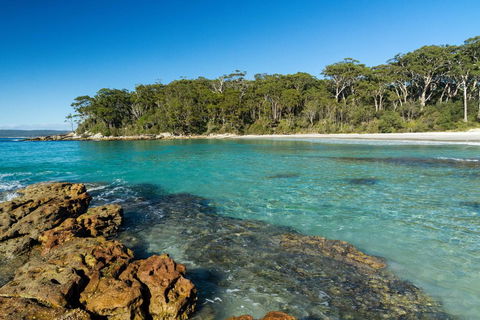 Gorgeous Beachside Cottage Jervis Bay - Accommodation Yamba 0