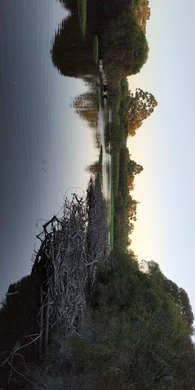 Gosnells Homestay - Accommodation Yamba 1