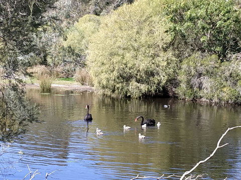 Gosnells Homestay - Accommodation Yamba 3